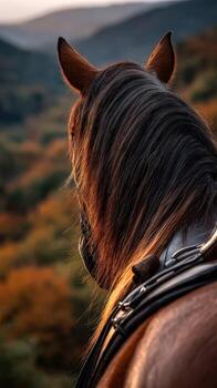 A horse with a long mane and a beautiful view photo