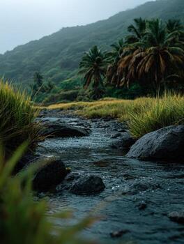 A stream running through a lush green field photo
