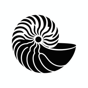 Black and white stylized graphic of a nautilus shell cross-section with spiral chambers cross section vector