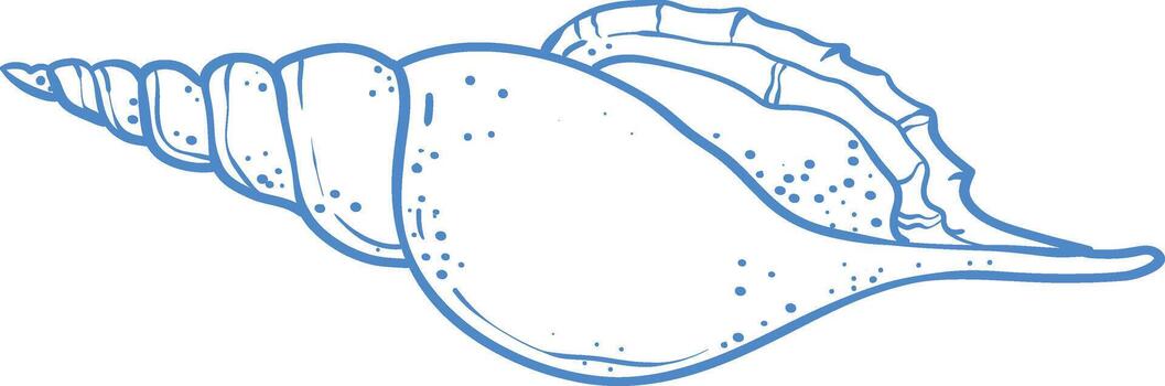 art illustration of a seashell. Minimalistic marine design with smooth curves texture. vector