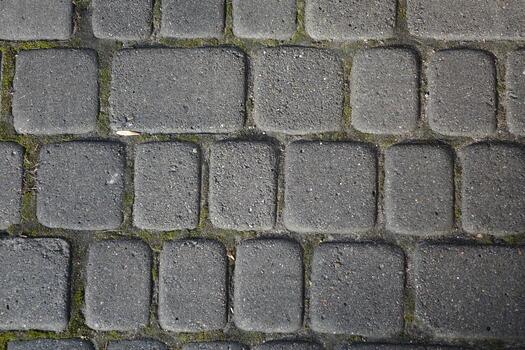 Stone path made of paving stones from rectangular blocks photo