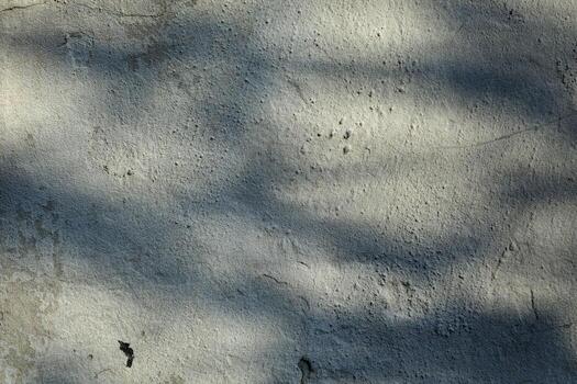 Abstract shadows of tree branches on a grayish plaster wall with irregular photo