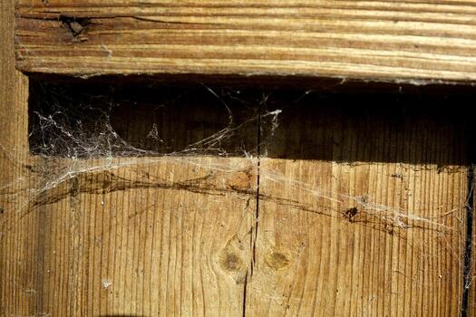 Natural Wooden Board Background With Fiber Structure and Cobweb Details Highlighting Textures photo