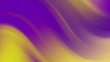 moderno astratto sfondo con un' vivace viola e giallo pendenza, con morbido, fluente curve e un' delicato granuloso struttura video