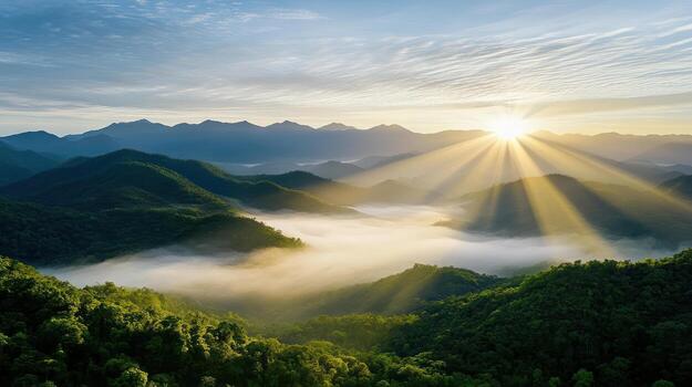 The sun shines over a mountain range with fog and trees photo