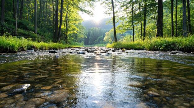 A river running through a forest with trees and grass photo