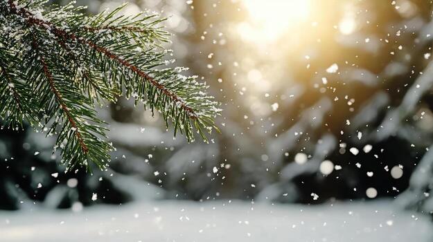 Winter snow and pine tree branches in the forest photo