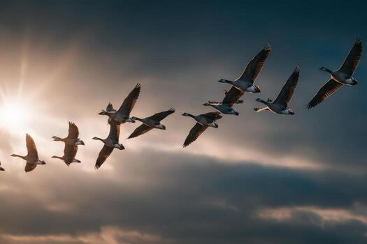 Flock of geese flying in formation against a dramatic sky with sunlight breaking through clouds, showcasing the beauty of nature and avian migration patterns photo