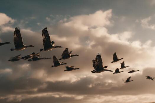 Flock of birds soaring through a dramatic sky filled with clouds, showcasing their graceful flight and natural beauty in a serene environment with warm light photo