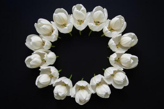 circular arreglo de blanco tulipanes en negro antecedentes creando un elegante floral mostrar. foto