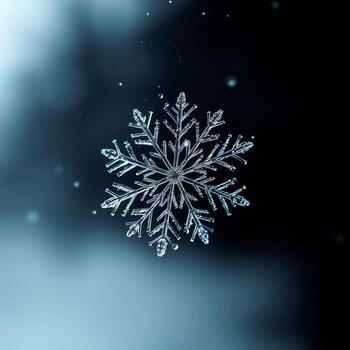 Deep Focus on the Snowflake and its Mirror Image on the Surface photo