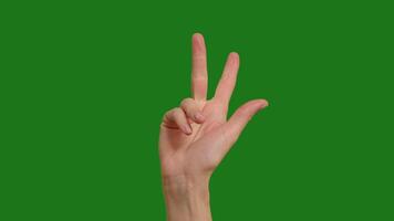 Close up of unrecognizable hand counting from 1 to 5 with fingers isolated on green background. video