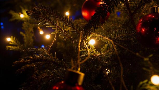 Soft Golden Light Creating a Warm Bokeh Effect in the Foreground photo