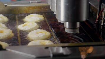 moderno industriale macchinari esecuzione sistematico ciambella produzione, sistematicamente in profondità frittura pasticcini nel grande scala bollente olio in lavorazione linea video