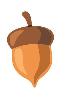 Acorn nut autumn design element vector