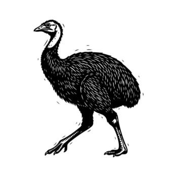 A linocut-style depiction of a large bird, with textured feathers, walking on two legs vector