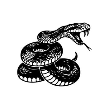 A coiled snake in black and white, head raised with open jaws and forked tongue vector