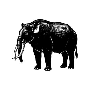 Silhouette of a large, four-legged creature with tusks and a trunk, in black and white vector