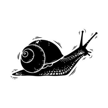 Black and white illustration of a snail in a side view on a white background vector