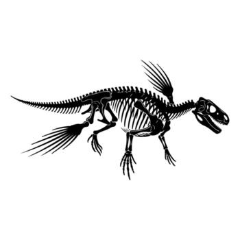 un esquelético representación de un bípedo criatura con alas y un largo cola vector