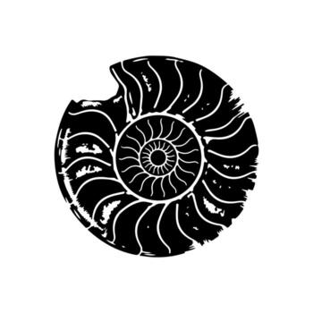 Black and white illustration of an ammonite fossil with a spiral pattern and a broken edge vector