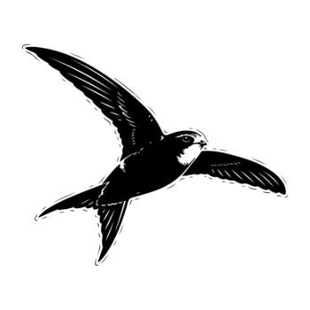 A black and white illustration of a bird in flight with open wings. vector