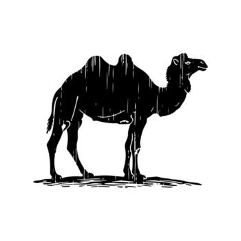 Black silhouette of a camel with rough, textured lines on white background vector