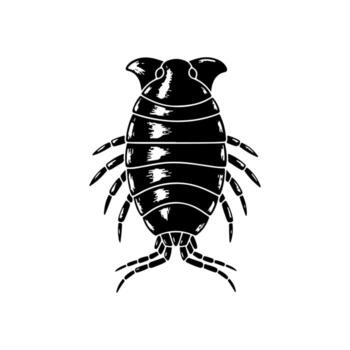 A black and white illustration of a segmented isopod with many legs on a white background vector