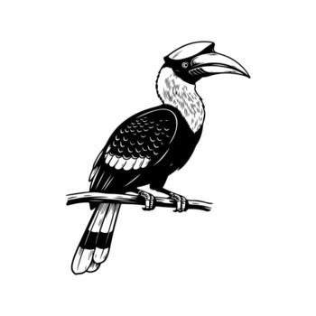 A black and white illustration of a bird, resting on a branch. Simple vector