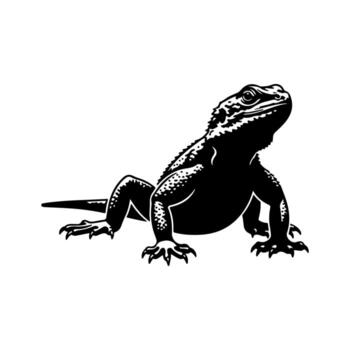 A monochrome illustration of a lizard, with spiked skin and sharp claws, looking upwards vector
