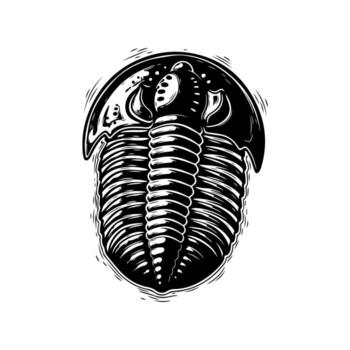 Bold black and white illustration of a fossilized trilobite creature on a white background vector