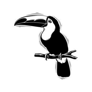 A monochrome illustration of a toucan perched on a branch, in a minimalist style vector