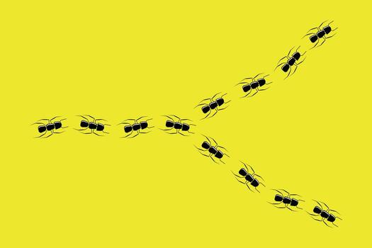 Ant Path on Yellow Background vector