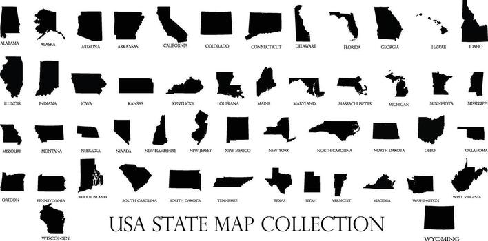 Complete Set of 50 US State Outline Maps Blank Editable Maps for Design Infographics and Education vector