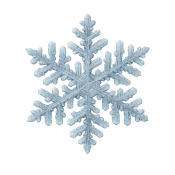 uniek sneeuwvlok ontwerp presentatie van ingewikkeld patronen en delicaat structuur png