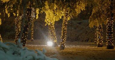The first snowfall in the park decorated with Christmas lights and trees with yellow leaves. Snow on trees with yellow autumn leaves. Light bokeh from Xmas tree. New Year theme, background. video