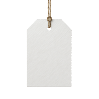 vuoto etichetta sospeso su un' corda con un' semplice design contro un' pianura sfondo png