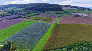 Drone flight over plowed fields in autumn. Autumn fields top view. Fields in rural area in Europe. video