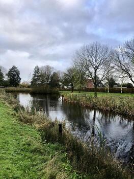 A river runs through a field with grass and trees photo