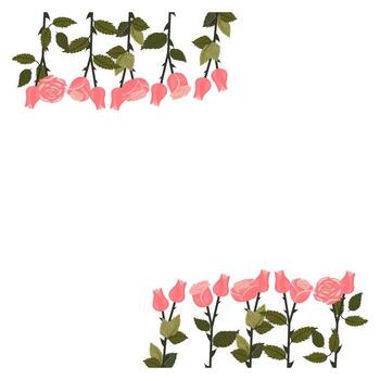 A square frame decorated with pink roses on a stem at the top left and bottom right. vector