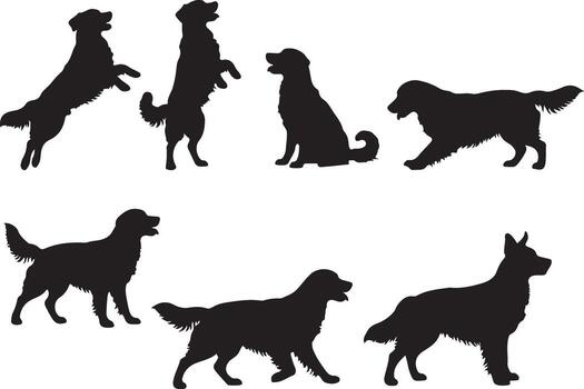 Various poses of golden retriever and shepherd dog silhouettes, a detailed collection displaying different actions, movements, and behavior. vector