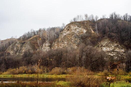 textured cliff with winter trees, cracked limestone and exposed layers create rugged scenery, bare winter trees and textured limestone form striking landscape with subtle photo