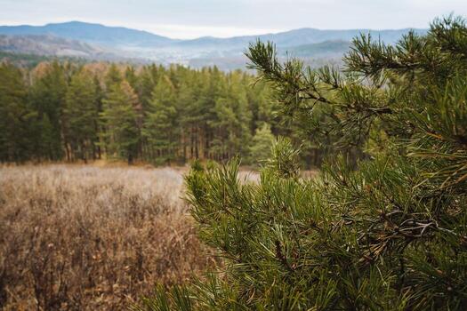 siete palabras alternativa expresiones transporte idéntico ideas, diez palabras reescrito versiones expresando mismo núcleo mensaje, quince palabras reformulado declaraciones mantener original intención y sentido foto