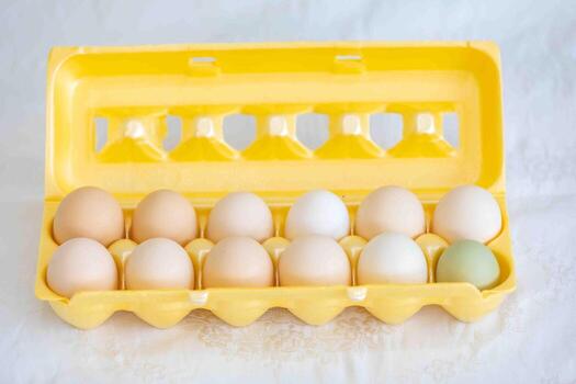 Still life style photography, with a mix of random objects arranged in an artistic way egg box photo