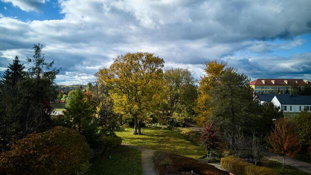 winding path and oak trees beneath cloudy sky, oak trees and winding pathway under vast cloudy sky photo