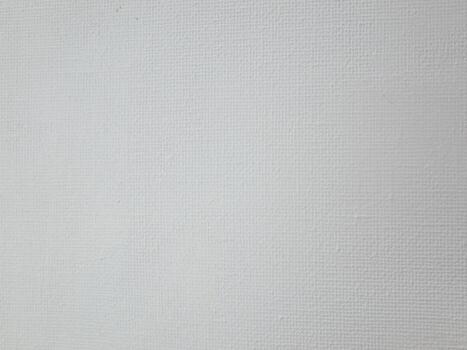 esta es un texturizado blanco antecedentes ese lata ser utilizado para varios usos en medios de comunicación formatos foto