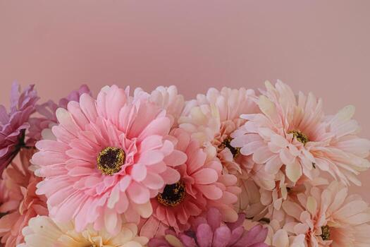 Abstract horizontal background featuring a vibrant array of artificial Gerbera daisy flowers clustered along the bottom edge Provides ample clean pink copy space for text overlay or website design photo
