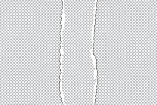 Ripped paper edges isolated, paper ripped line in center clipping path vertical partition isolated vector
