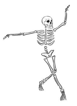 Sketch of a dancing skeleton. Hand-drawn ink illustration of an animated figure. Linear graphic elements for Halloween design, isolated on a white background. vector