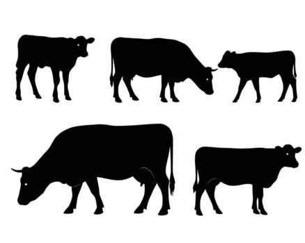 A captivating silhouette collection showcases the gentle nature of cows in various poses, capturing their peaceful presence in a timeless and elegant design vector